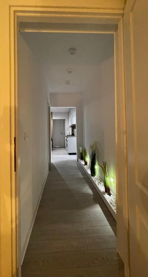 Oxana Apartments - 3 Camere - Timisoara Exterior photo