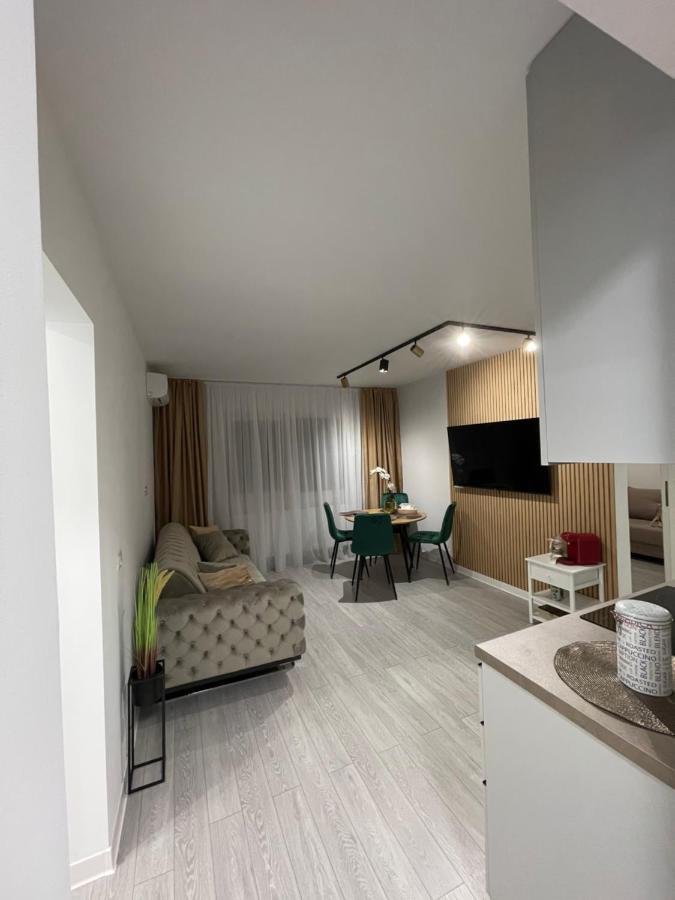 Oxana Apartments - 3 Camere - Timisoara Exterior photo
